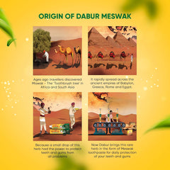Dabur Ayurvedic Meswak Complete Oral Care Toothpaste Dabur Ayurvedic Meswak Complete Oral Care Toothpaste