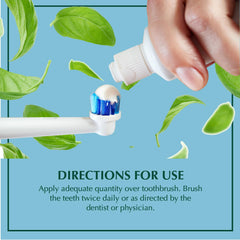 Dabur Ayurvedic Meswak Complete Oral Care Toothpaste Dabur Ayurvedic Meswak Complete Oral Care Toothpaste