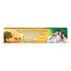 Dabur Ayurvedic Meswak Complete Oral Care Toothpaste Dabur Ayurvedic Meswak Complete Oral Care Toothpaste