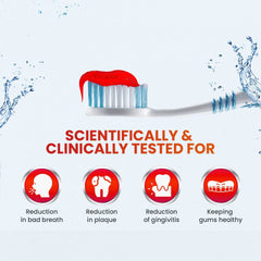 Dabur Ayurvedic Red Gel Ayurvedic Toothpaste Dabur Ayurvedic Red Gel Ayurvedic Toothpaste