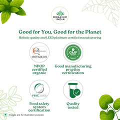 Organic India Tulsi Green Tea Jasmine 25 Infusion Bag Organic India Tulsi Green Tea Jasmine 25 Infusion Bag