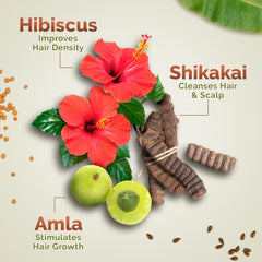 Mamaearth Kerala Thaali Pre Shampoo Hair Mask with Power of 12 Herbs for Thick & Long Hair 200g Mamaearth Kerala Thaali Pre Shampoo Hair Mask with Power of 12 Herbs for Thick & Long Hair 200g