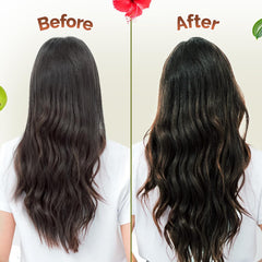 Mamaearth Kerala Thaali Pre Shampoo Hair Mask with Power of 12 Herbs for Thick & Long Hair 200g Mamaearth Kerala Thaali Pre Shampoo Hair Mask with Power of 12 Herbs for Thick & Long Hair 200g