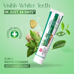 Aimil Ayouthveda Ayurvedic Natural,Charcoal White,Total Care & Mint Gel Whitening Toothpaste 100g Aimil Ayouthveda Ayurvedic Natural,Charcoal White,Total Care & Mint Gel Whitening Toothpaste 100g