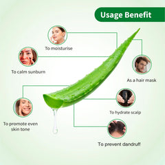 Aimil Ayouthveda Cosmetics Aloe Vera Gel for Face,Hair and Body 150g Aimil Ayouthveda Cosmetics Aloe Vera Gel for Face,Hair and Body 150g