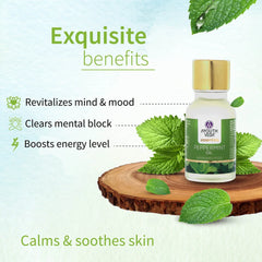 Aimil Ayouthveda Cosmetics Jasmine,Orange,Cedarwood,Peppermint,Grape Fruit,Eucalyptus,Lavender & Pine Essential Oil 15ml Aimil Ayouthveda Cosmetics Jasmine,Orange,Cedarwood,Peppermint,Grape Fruit,Eucalyptus,Lavender & Pine Essential Oil 15ml