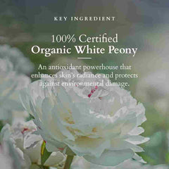 Lotus Organics+ Cosmetics Precious Brightening Under Eye Cream 15ml