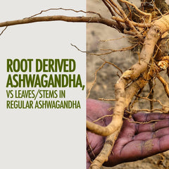 Kapiva Ayurvedic Ashwagandha Gold 60 Capsules