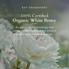 Lotus Organics+ Cosmetics Lotus Precious Brightening Serum+ Creme 30ml