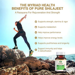 Maharishi Ayurveda Shilajeet Rasayana For Strength,Stamina and Endurance 60 Tablets