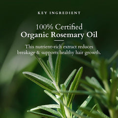 Lotus Organics+ Cosmetics Hair Growth Active Concentrate Serum 28ml