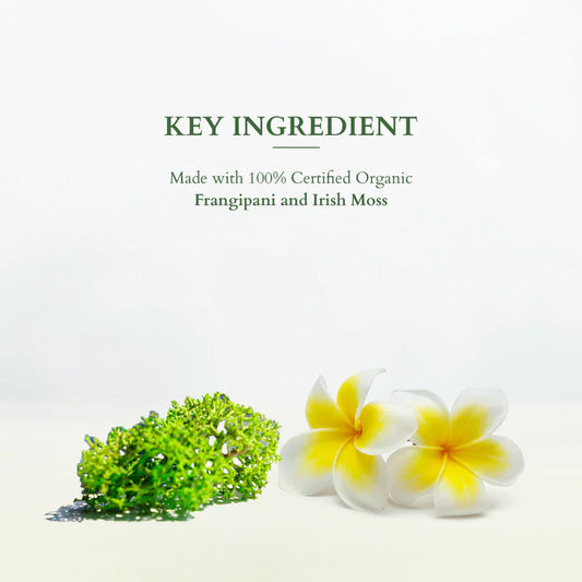 Lotus Organics+ Cosmetics Divine Face Care CTM Regime Collection Combo