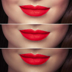 Lotus Make Up Cosmetics Ecostay Natural Matte Lip Color 4.2gms
