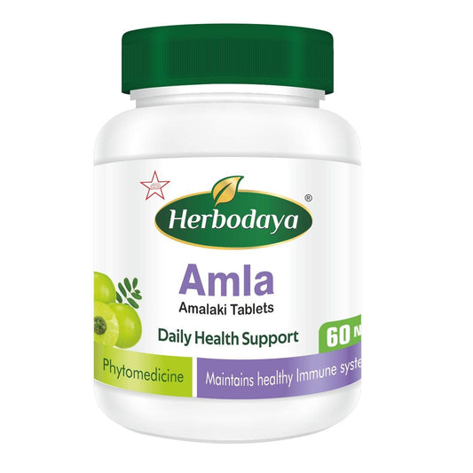 Skm Siddha Ayurveda Herbodaya Amla 60 Tablets
